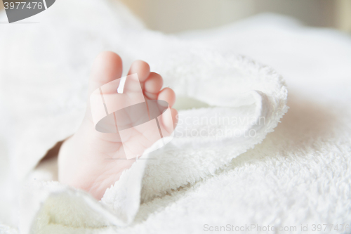 Image of Close-up of baby feet. focused on foot.