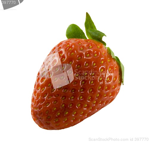 Image of strawberry