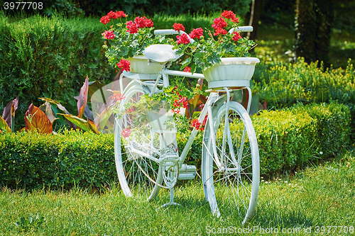 Image of Bicycle with Flowers
