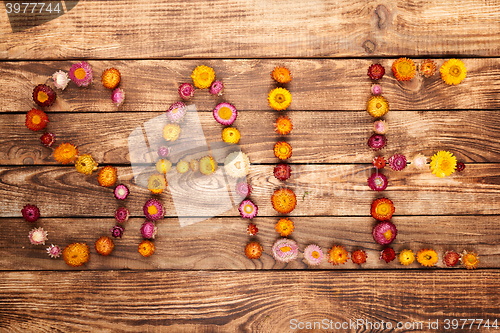 Image of Top view of a word sale made by flower heads