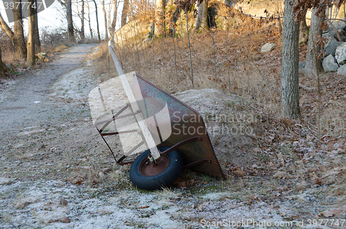 Image of one wheelbarrow in the forrest