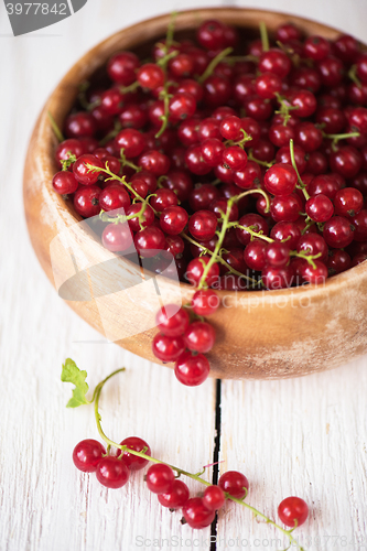 Image of Fresh red currants