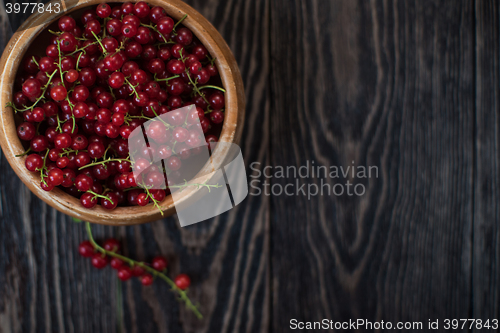 Image of Fresh red currants