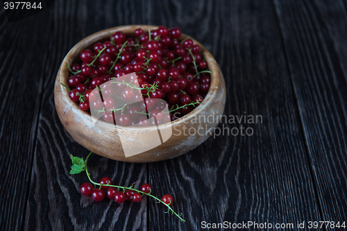 Image of Fresh red currants