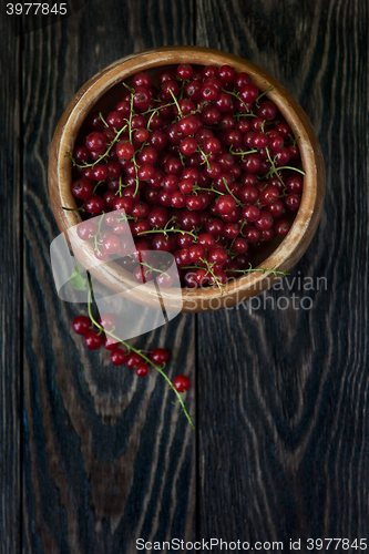 Image of Fresh red currants