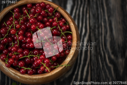 Image of Fresh red currants