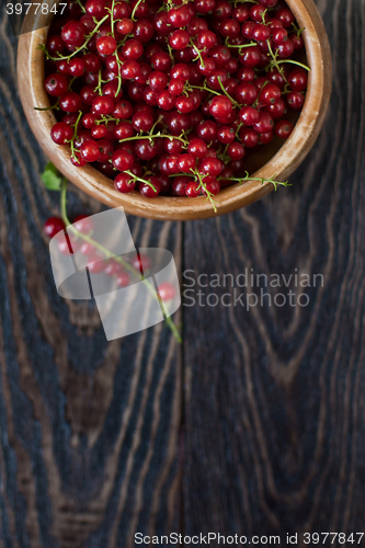 Image of Fresh red currants