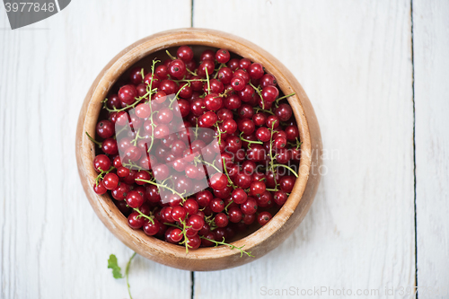 Image of Fresh red currants