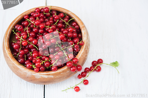 Image of Fresh red currants