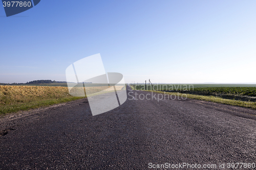 Image of a small paved road  