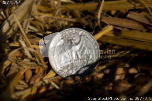 Image of coin in the straw  