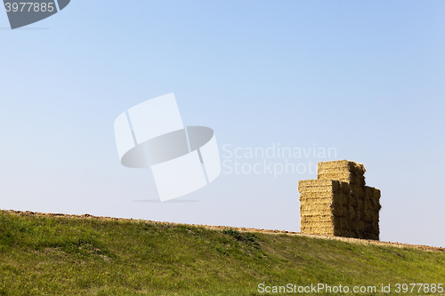 Image of Stack of straw, wheat  