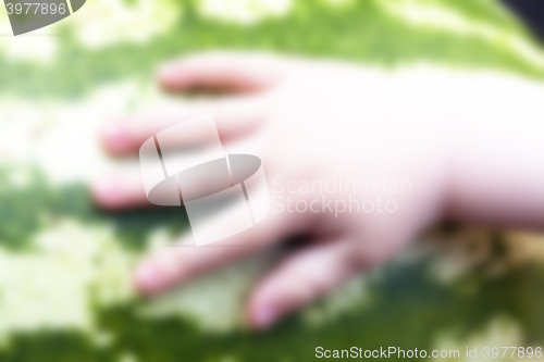 Image of hand on watermelon 
