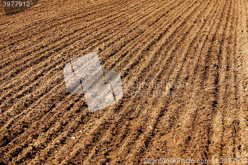 Image of farm field cereals