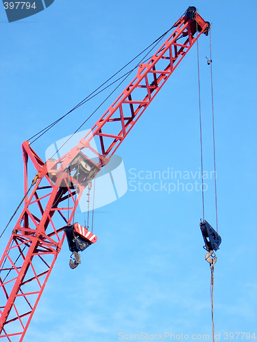 Image of The crane