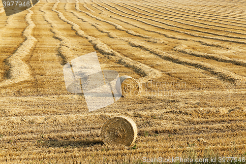 Image of straw after harvest 