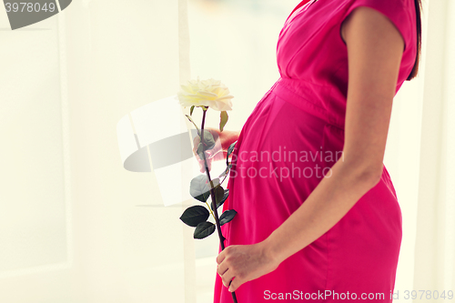 Image of happy pregnant woman with rose flower at home