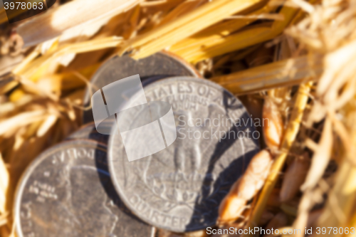 Image of cereal farming field  