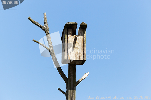 Image of birdhouse from a tree  