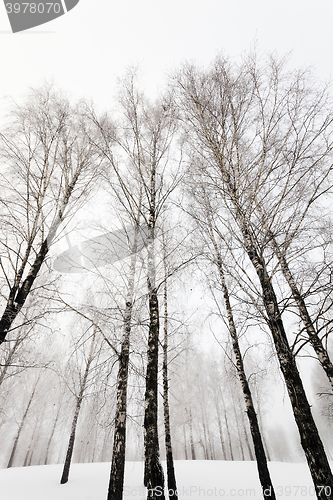 Image of winter time   with snow