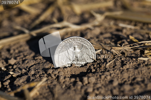 Image of coin on the ground  