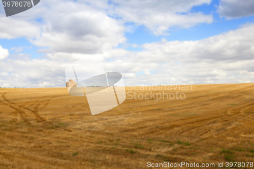 Image of stack of wheat straw  