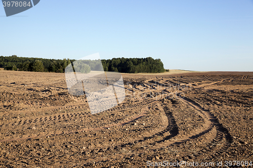 Image of plowed agricultural field  