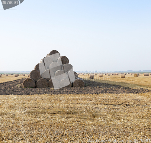 Image of straw in the field 