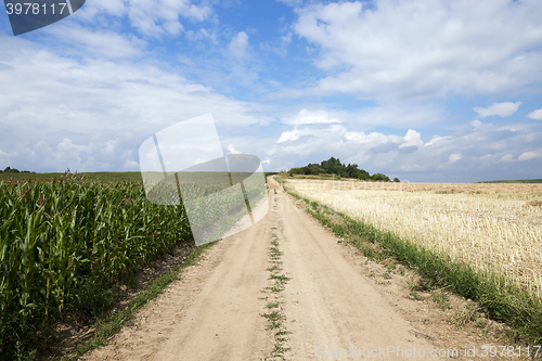 Image of road in a field  