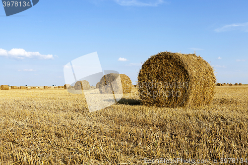Image of Stack of straw  