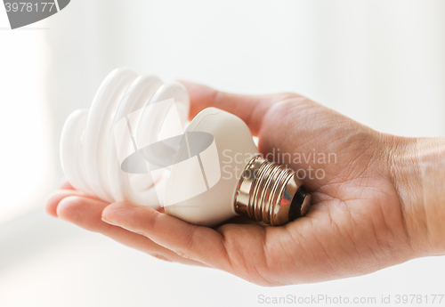 Image of close up of hand holding energy saving lightbulb