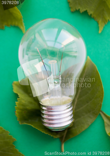 Image of close up of bulb or incandescent lamp on green