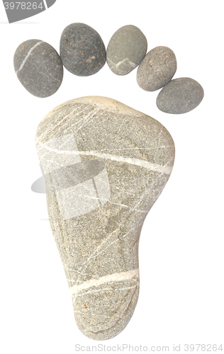 Image of pebble foot isolated