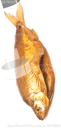 Image of smoked whole fish