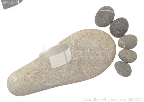 Image of pebble foot isolated