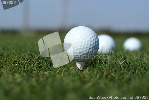 Image of Golf ball in tall green grass