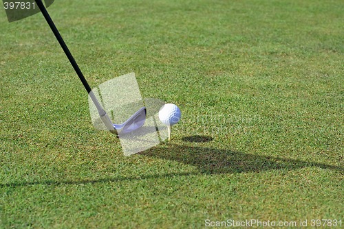 Image of Golf ball in tall green grass