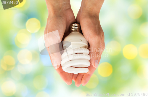 Image of close up of hands holding energy saving lightbulb