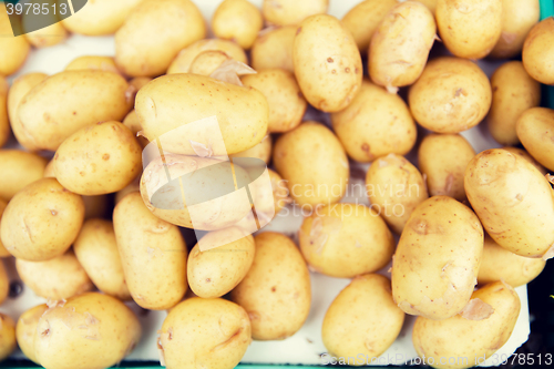 Image of close up of potato at street market