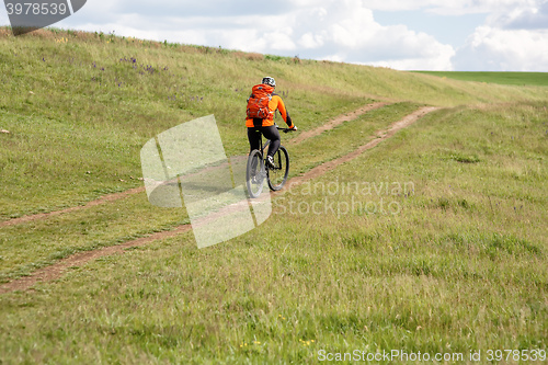 Image of Young man cycling on a rural road through green meadow