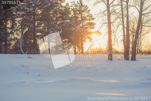 Image of landscape. weather, snowdrifts in the foreground