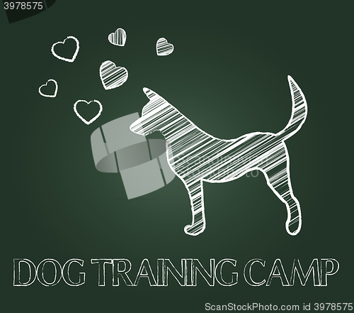Image of Dog Training Camp Shows Instruction Taught And Canine