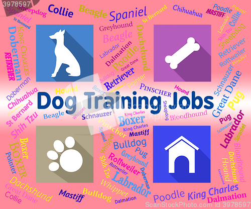Image of Dog Training Jobs Indicates Canines Jobs And Employment
