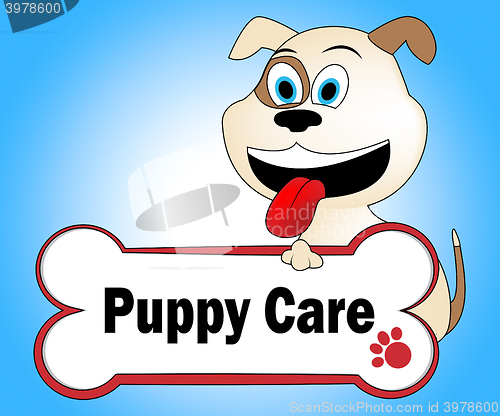 Image of Puppy Care Represents Looking After And Doggie