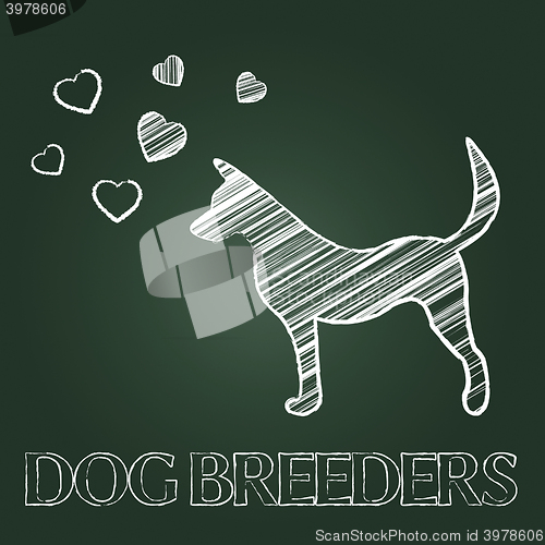 Image of Dog Breeders Shows Puppies Breeds And Canines