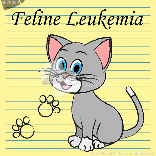 Image of Feline Leukemia Represents Domestic Cat Cancer Illness