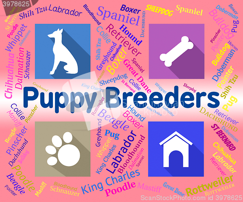Image of Puppy Breeders Indicates Doggy Mating And Pets