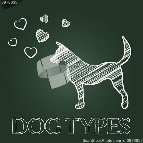 Image of Dog Types Represents Category Classes And Pedigree
