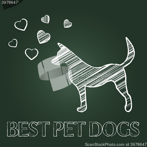 Image of Best Pet Dogs Means Domestic Animals And Canine