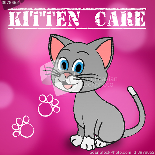 Image of Kitten Care Means Looking After And Loving Cats